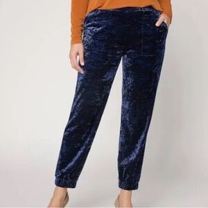 New Susan Graver Panne Velvet Ankle Jogger Navy Large Petite
